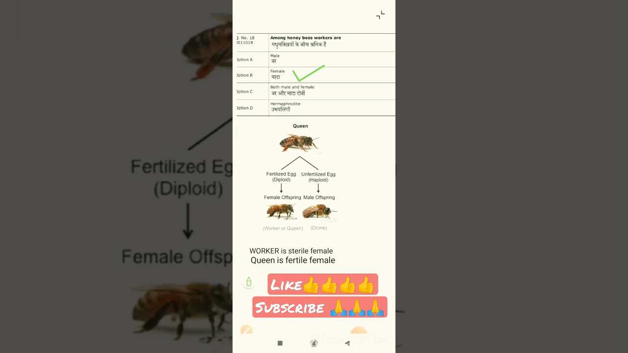 RUHS Bsc nursing exam 2023 practice question # biology #bscnursing