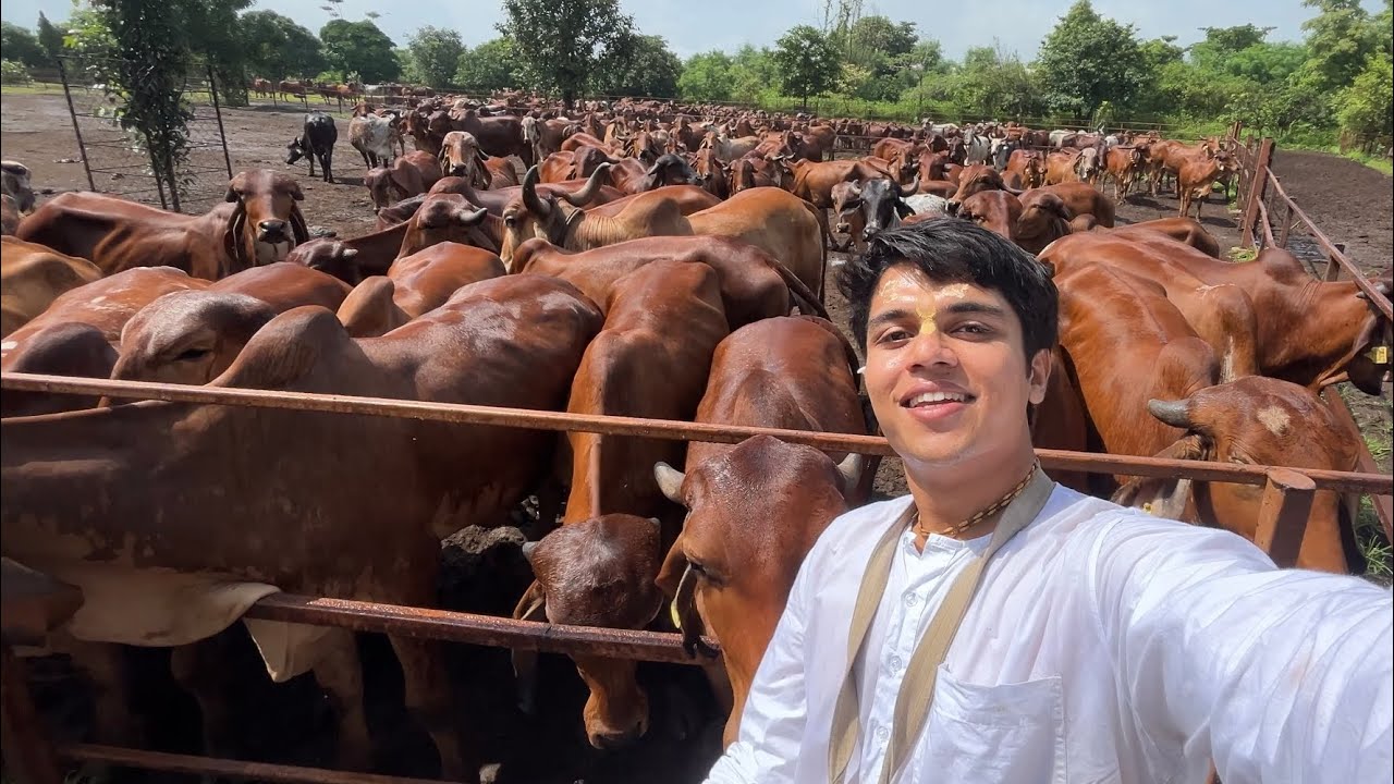 Talasri Yatra || vlog - 9 || nilachal vedic village