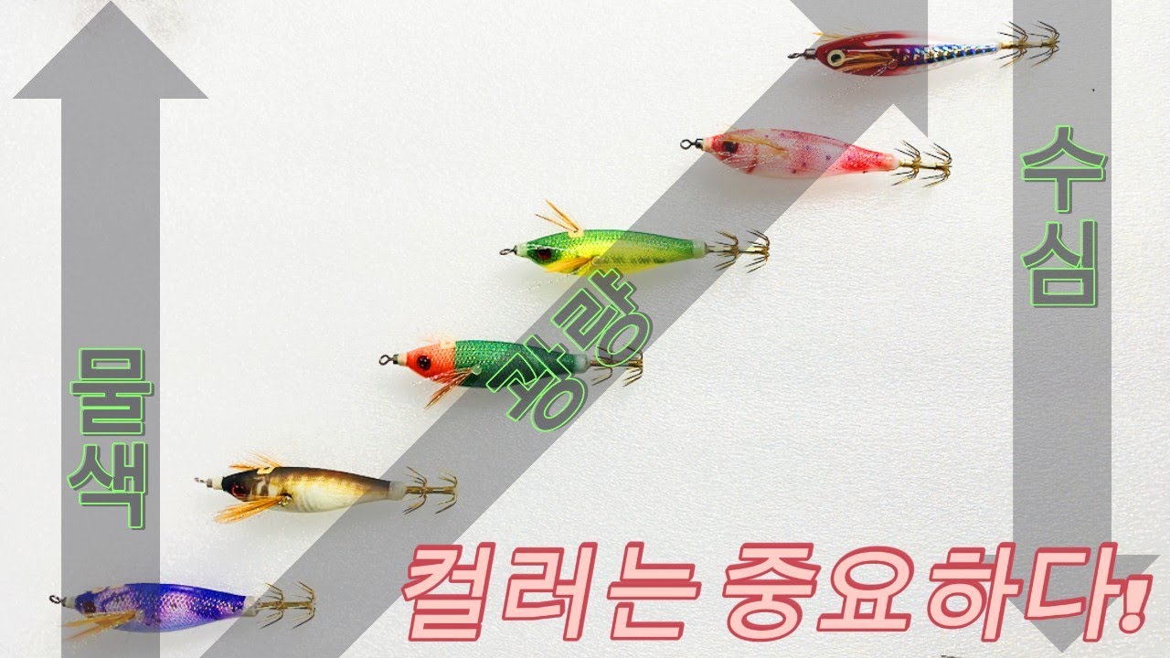 고윤중의 에기 색상 선택 노하우 공개!