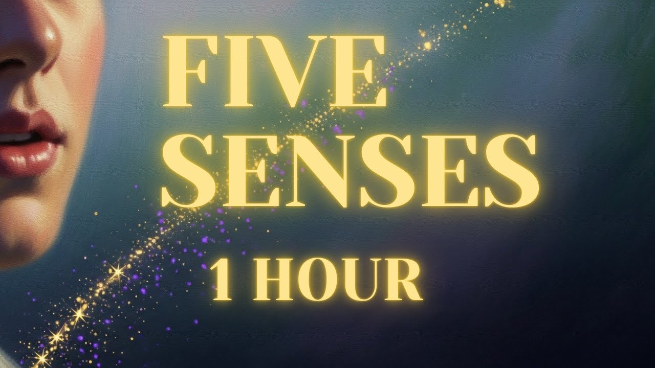 Whisper Meditation | Five Senses Awakening Journey & Presence (1Hour)
