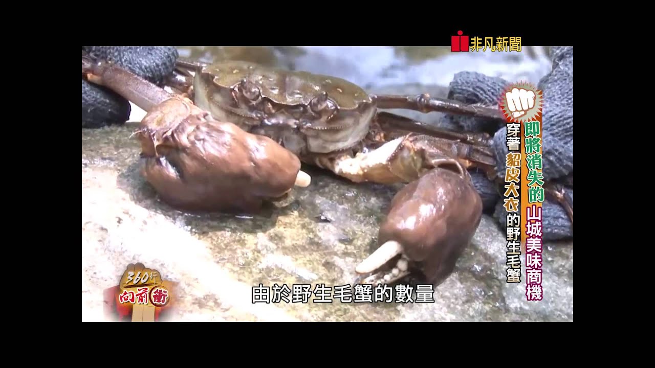 360行向前衝 114-2