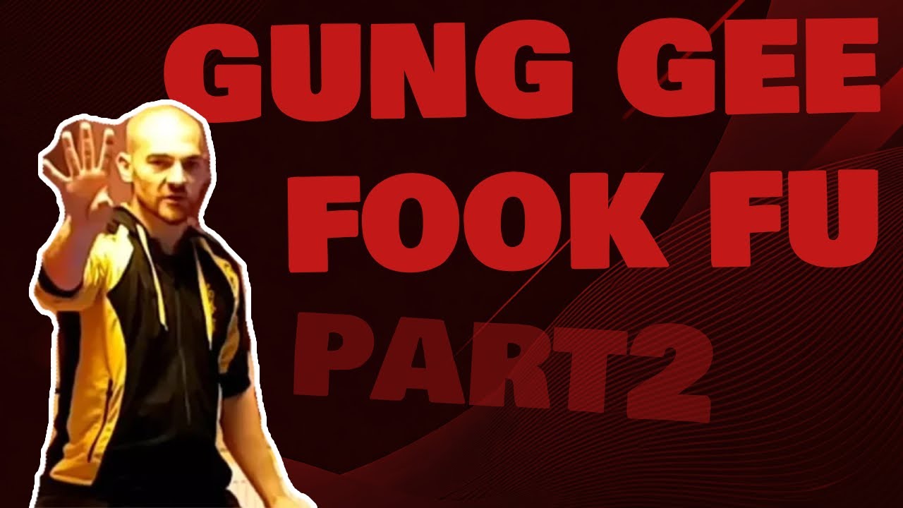 The First Moves in HUNG GAR Kung Fu! (Part 2)