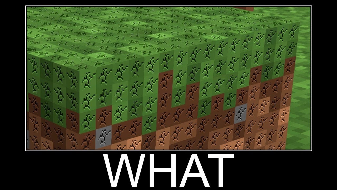 Minecraft WAIT WHAT #2060