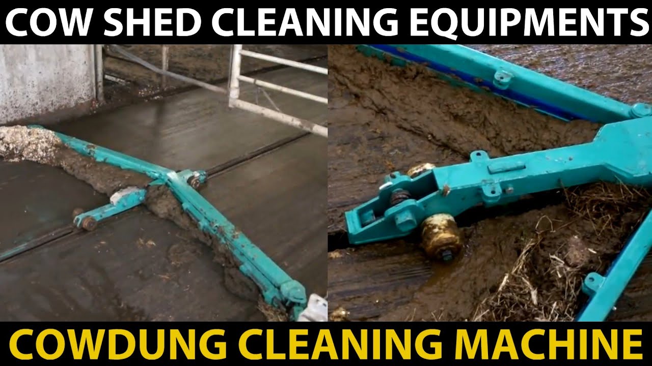 Cowdung Cleaning Machine | Automatic Cow Shed Cleaning Equipment | Manure Scraper System