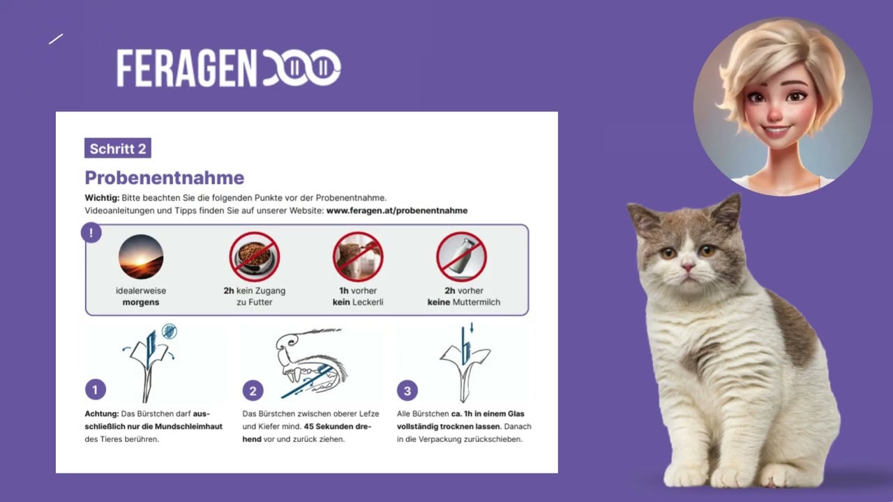 🐾 So einfach registrierst du deinen CatCheck! 🐾