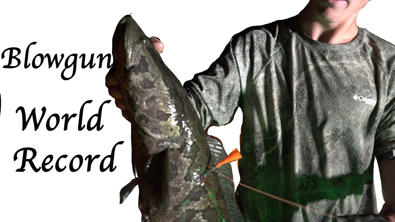 BlowFishing the Snakes of Chesapeake Bay