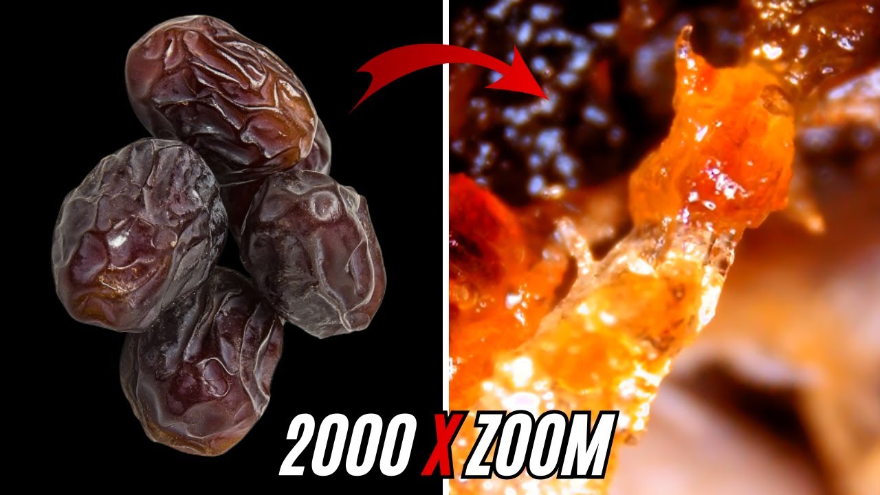 What Food Really Looks Like Under a Microscope 🔬 | Shocking Details Revealed 😮