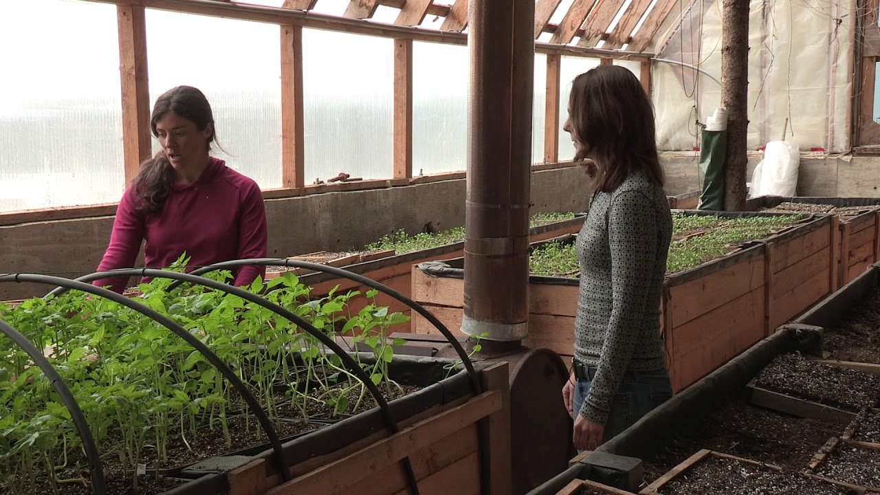A Passive Solar Greenhouse - In the Alaska Garden with Heidi Rader