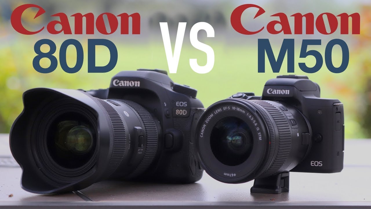Canon 80D vs EOS M50