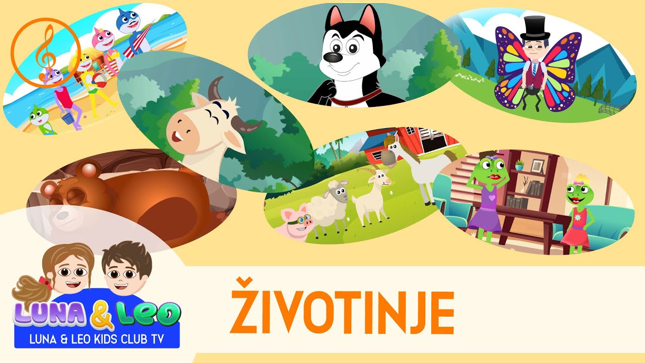 Pesmice o životnjiama - Mix! Sve pesmice o životinjama | Lisica, Meda, Farma i još mnogo toga
