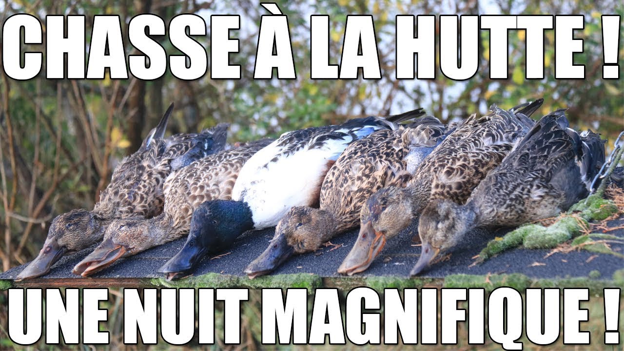 Chasse à la Hutte - Une Nuit Magnifique ! - Marius Chasse