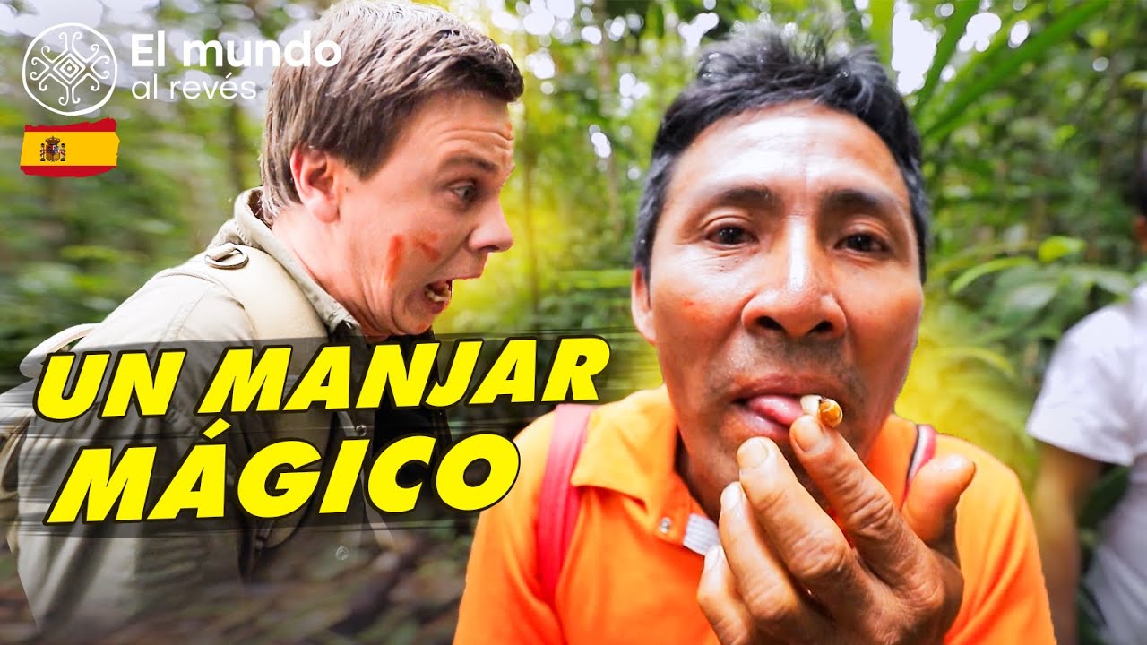 Tráfico de drogas en la selva brasileña. A la caza del gusano mágico. El mundo al revés