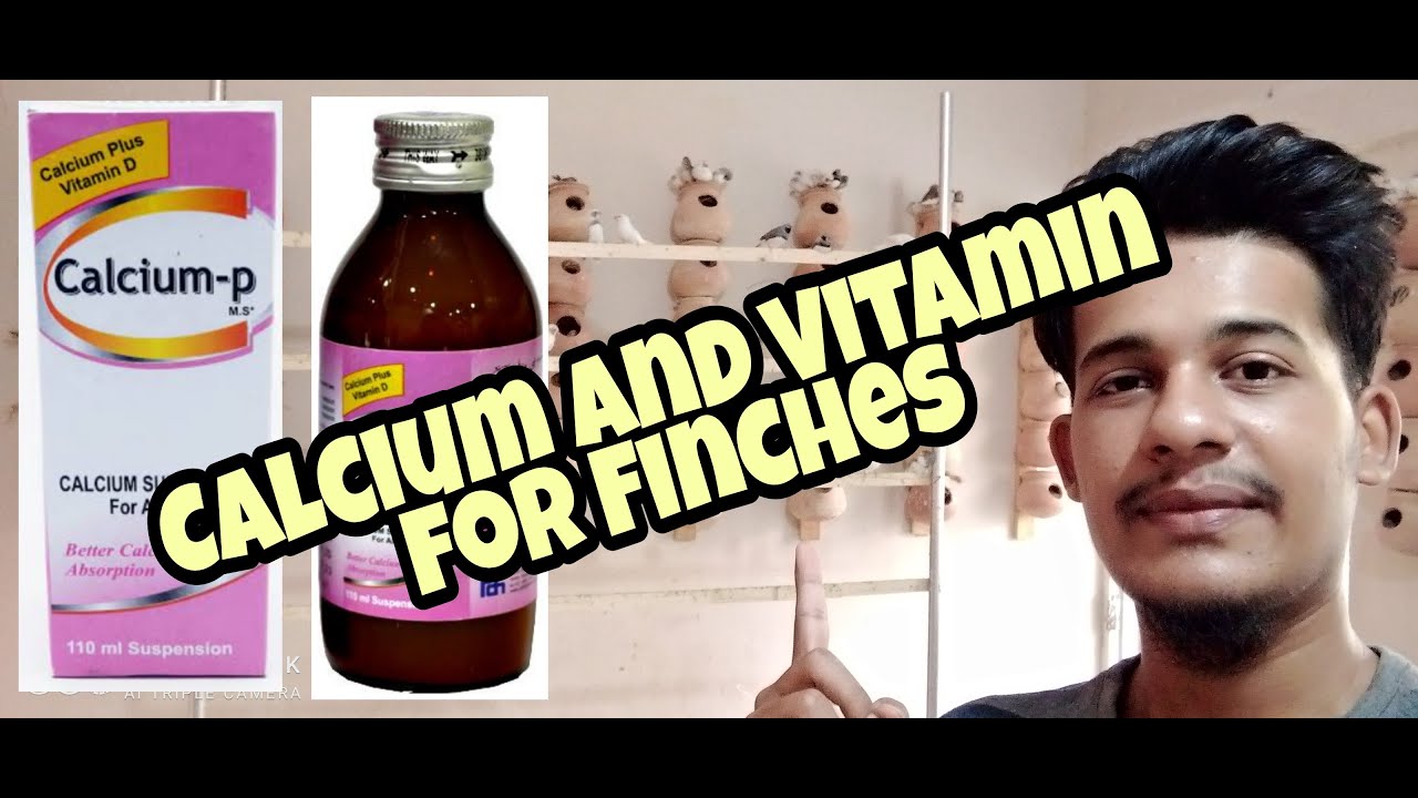 Calcium and Vitamins for finches | Calcium-P Syrup and Vitamin-D for birds | 23rd Vlog | #calciumP