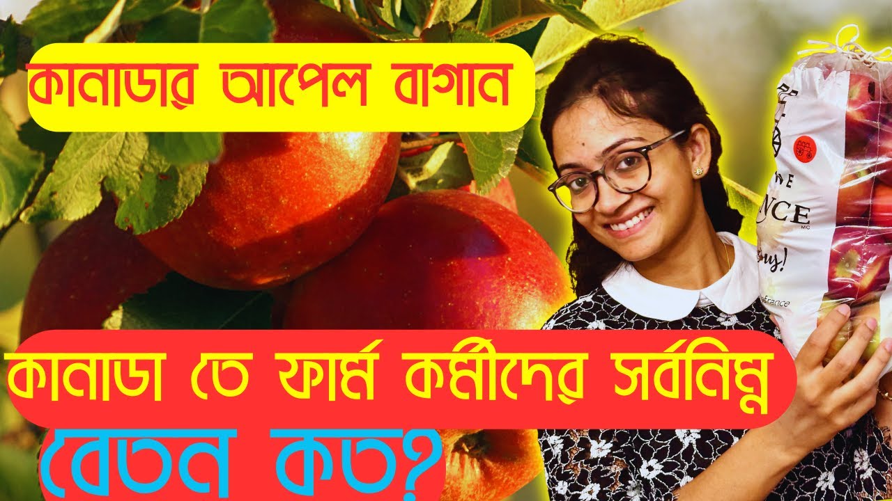 কানাডার ফার্ম এ চাকরি পাওয়া এতটাই সোজা | Farm jobs Canada 2023 | Farm work Canada 2023 |