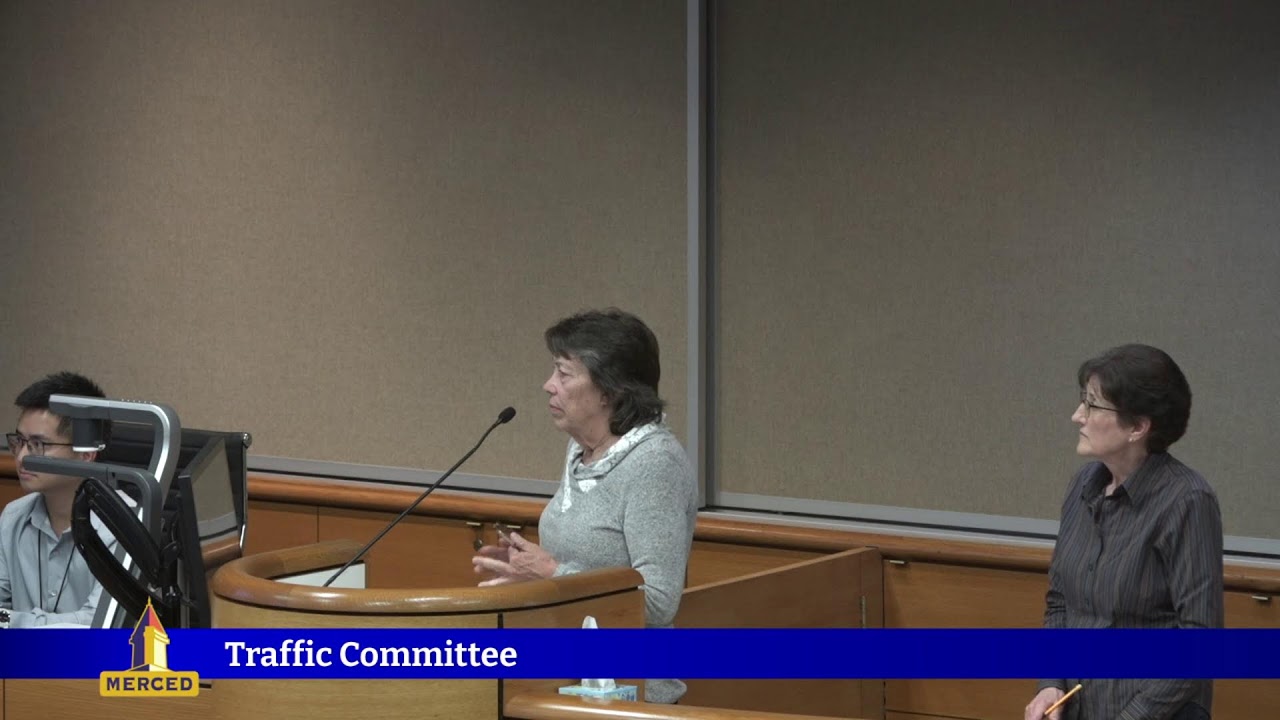 Traffic Committee 11.18.2025