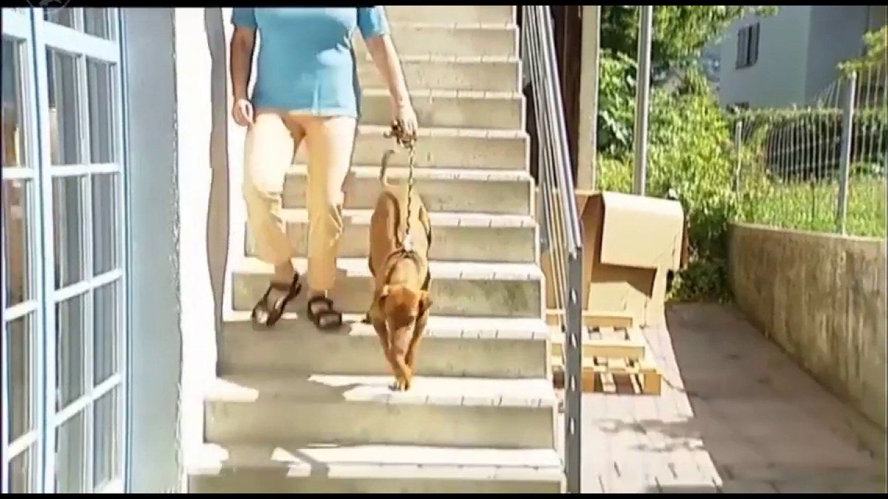 Ablauf einer Ganguntersuchung