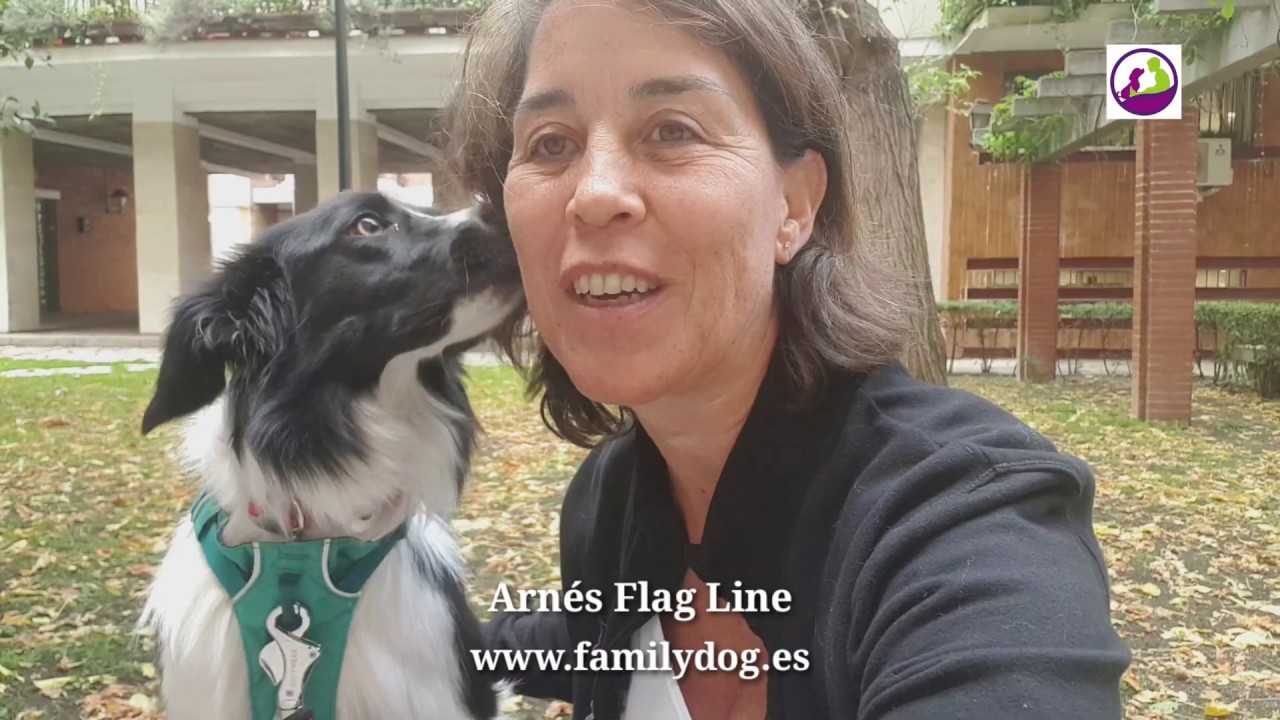 Arnés FlagLine TM de Ruffwear _ arnes antitiro
