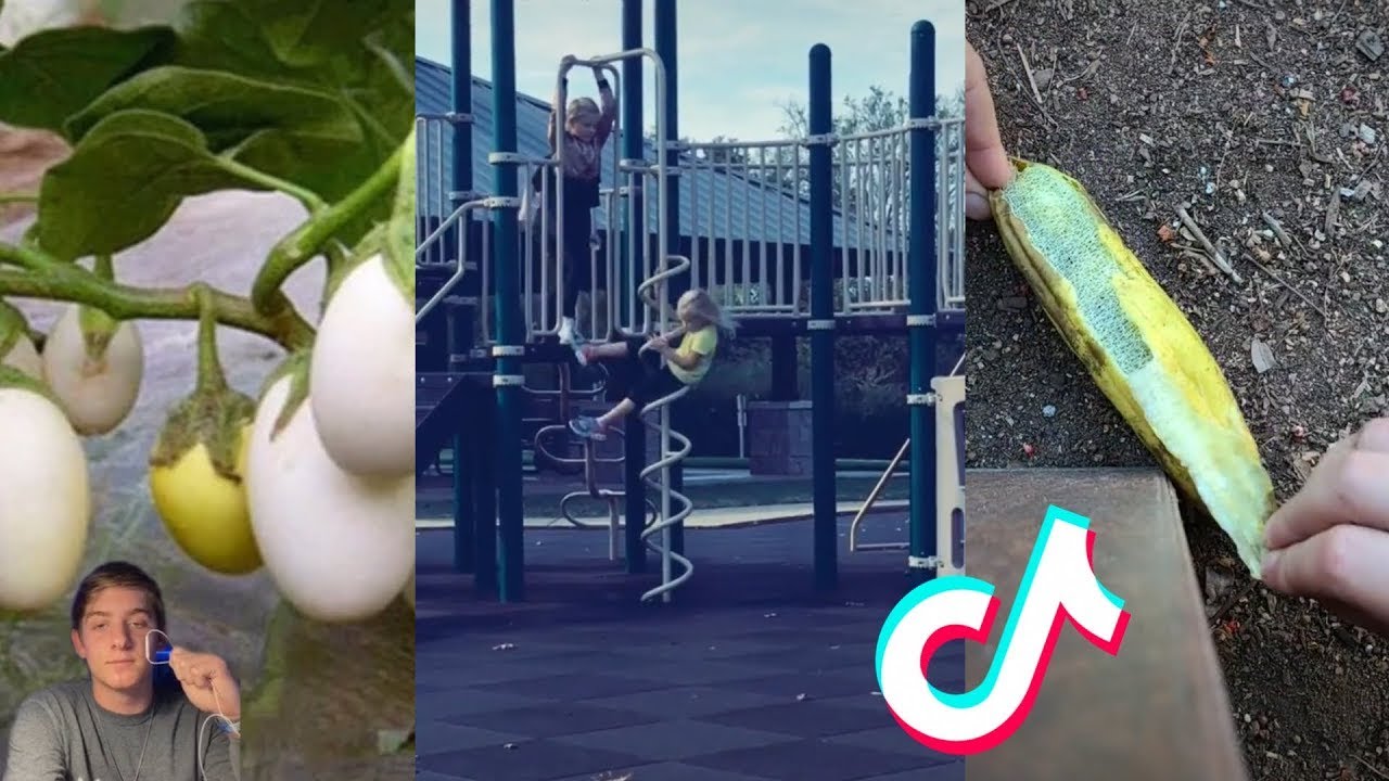 I Was Today Years Old When I Found Out (tiktok compilation)