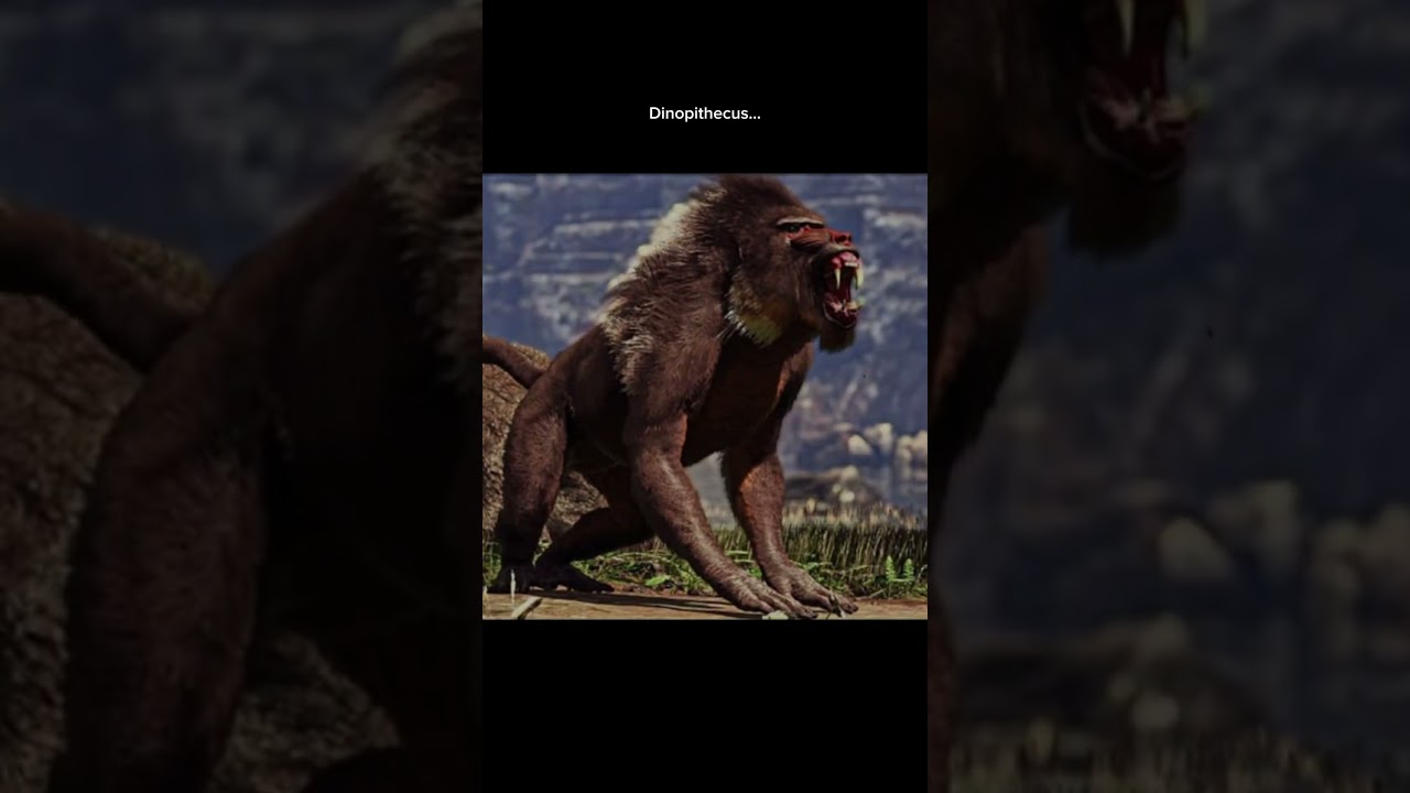 A BABOON hunted humans??? 😮 #dinopithecus #baboon