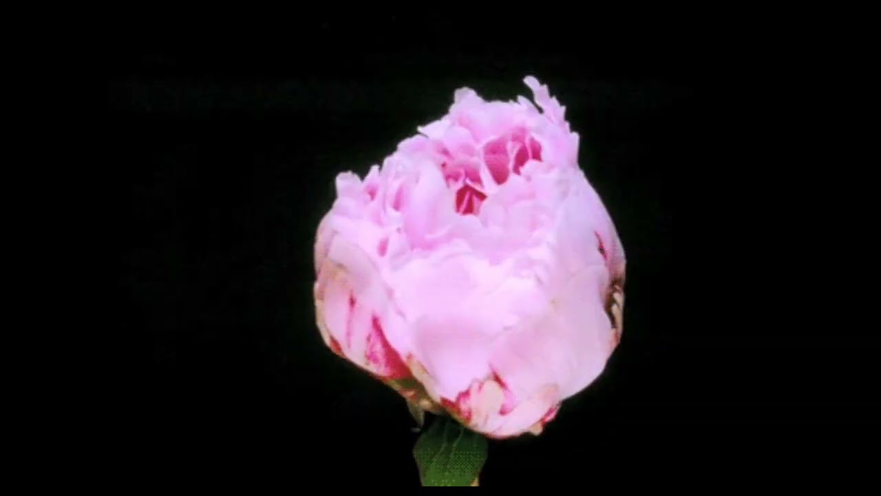 Coldplay-sparks (Dakotas version) slowed+reverb