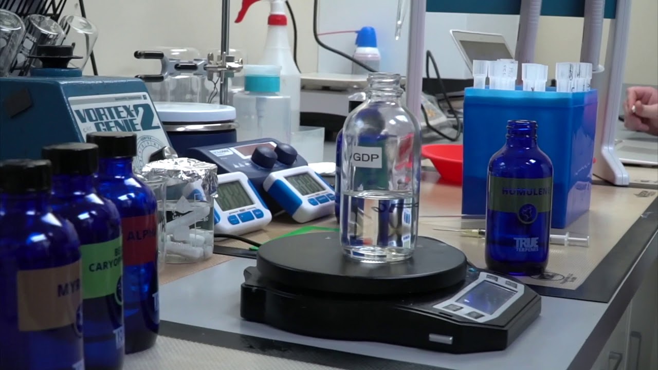 BTS @ Honey Oil - Mixing CBD Oils