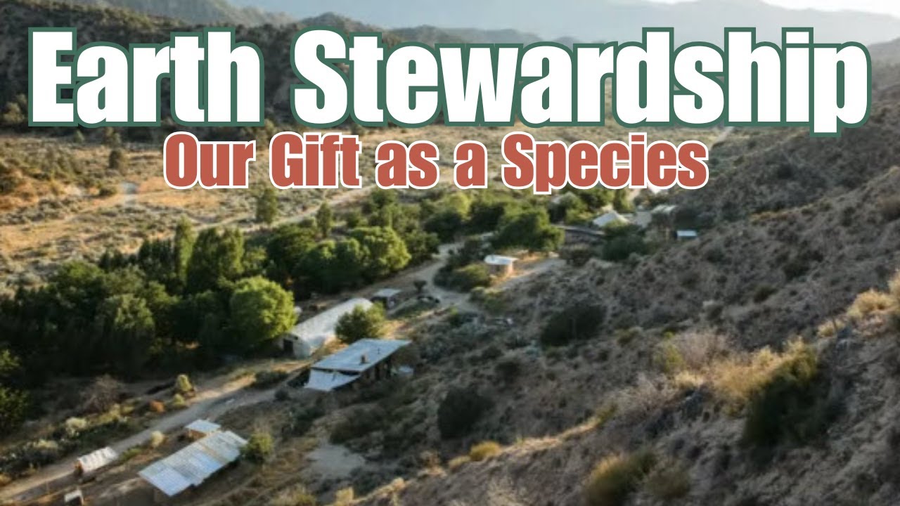 You Won't Believe the Power of Permaculture in Humanitarian Aid Crisis Zones