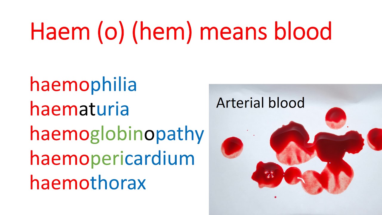 Medical terms 11, Blood and haematology