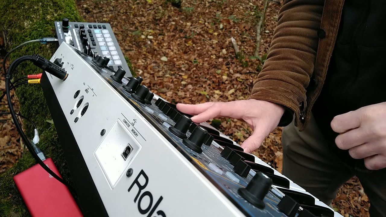 Nite Nite Pheasants - autumnal colours and ambient synths in the woods with MC-101 and Gaia Sh-01