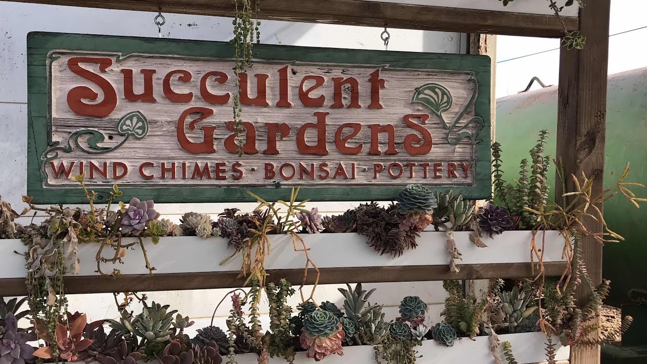 TOUR OF SUCCULENT GARDENS IN MONTEREY BAY CALIFORNIA