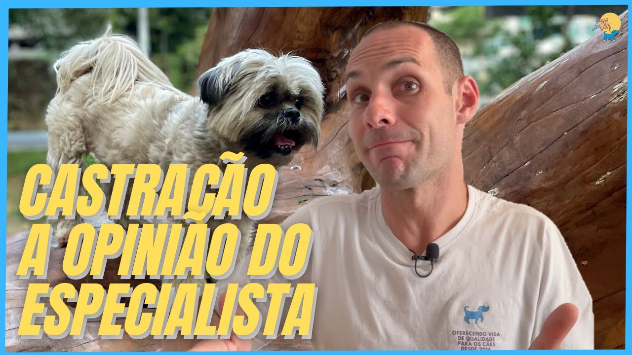 EXISTE IDADE CERTA PARA CASTRAR UM CÃO? ESSA É A RESPOSTA DEFINITIVA SOBRE A CASTRAÇÃO!!!