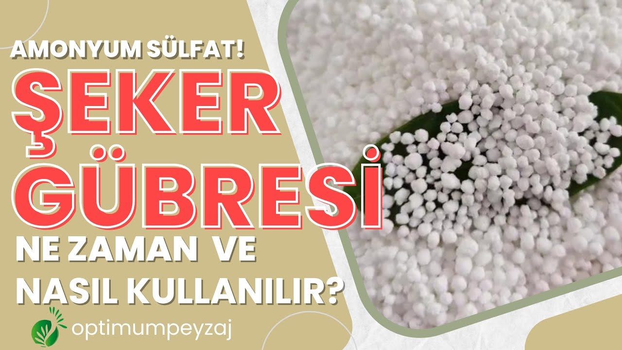 Для каких растений можно использовать сахарное удобрение и в каких дозах? Для каких растений можн...