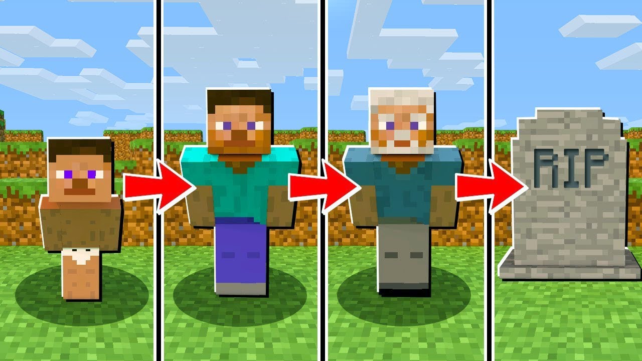 MINECRAFT COMO EN LA VIDA REAL Nace, Crece, Envejece y Muere