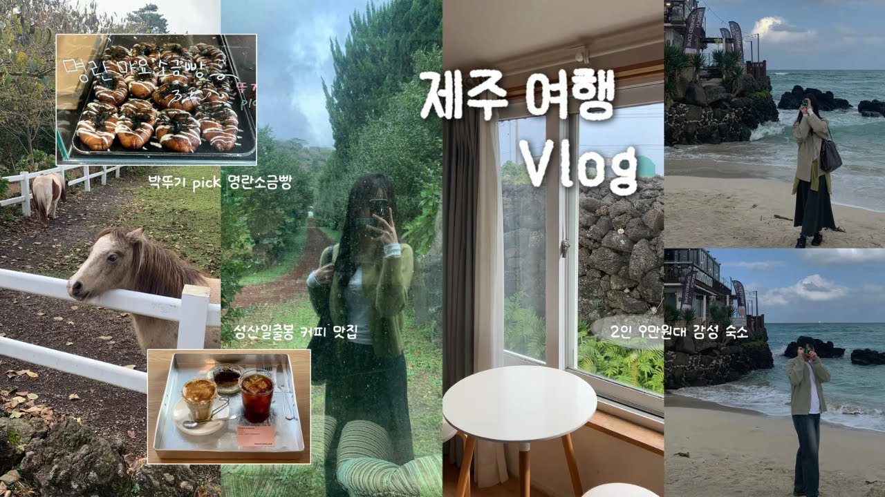 6년차 커플의 꽉 채운 2박 제주 여행 브이로그 (갈갈팜랜드🐑, 명란소금빵🥐, 2인 9만원대 감성 숙소🏠, 아쿠아플라넷🐬)