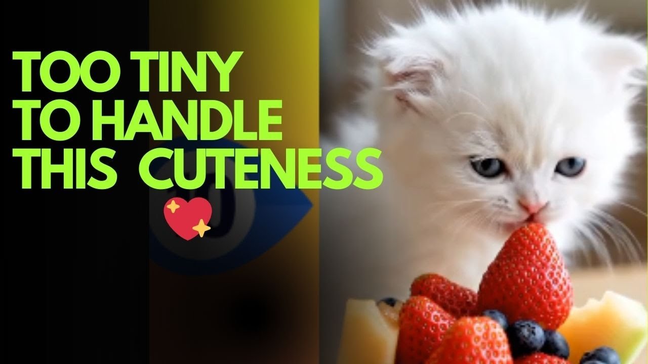 How I Fell in Love with these top 10  Tiny Eaters 🍓 | #viralvideo #foodeating #asmr