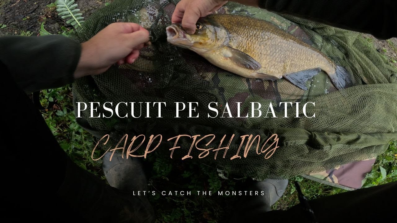 Pesti superbi pe un lac salbatic [pescuit la crap pe un superb lac salbatic]