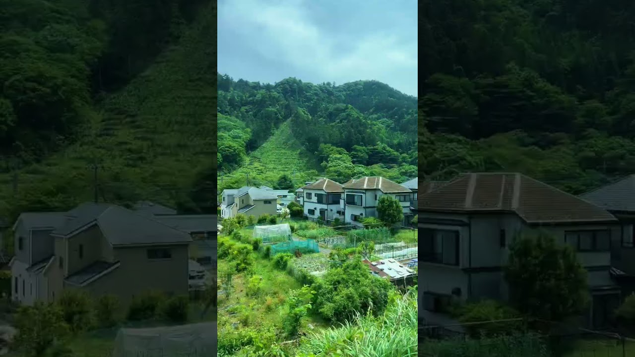 Misty mountains awaits: embrace the tranquil japanese countryside #japanlifestyle