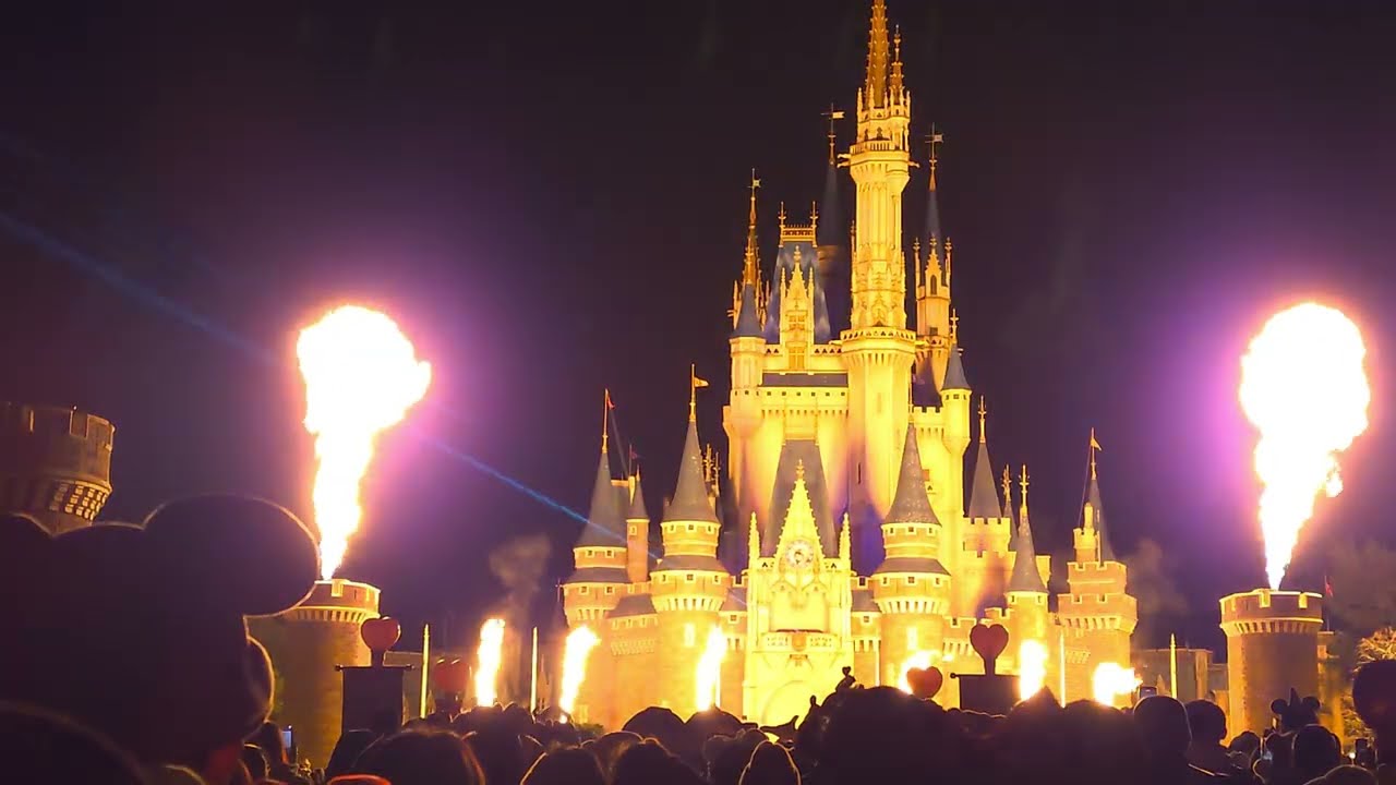 【2026.02.07】〈TDL〉Reach for the Stars（一部演出変更）