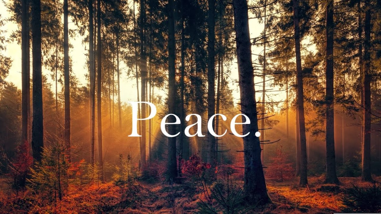 PEACE - Soaking worship instrumental I Prayer and Devotional