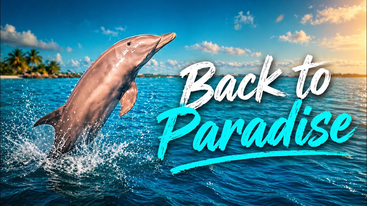 Bluesolar - Back to Paradise (Chillout Mix)