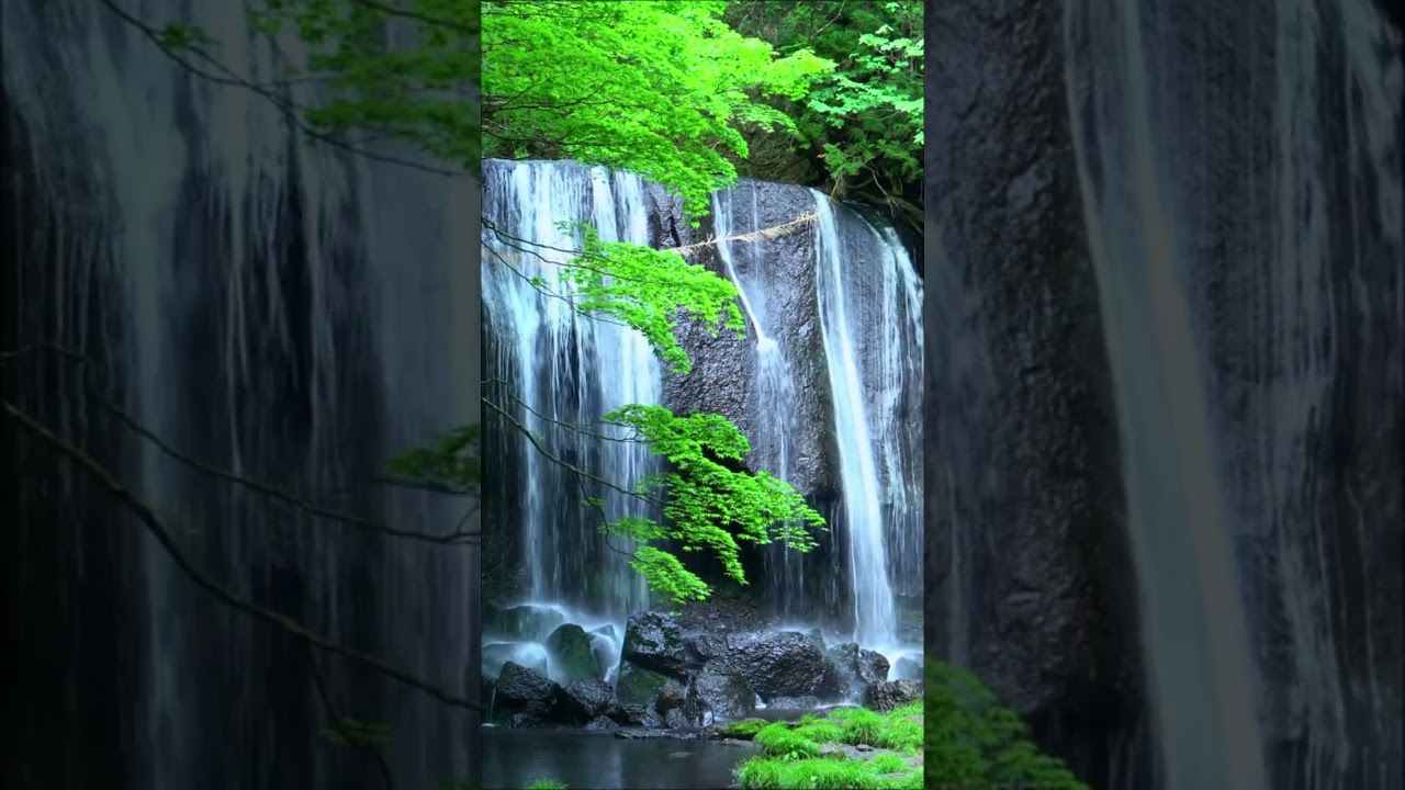 Soothe Your Soul 🌿 Relaxing Piano Music for Sleeping &bull; Soft Sleep