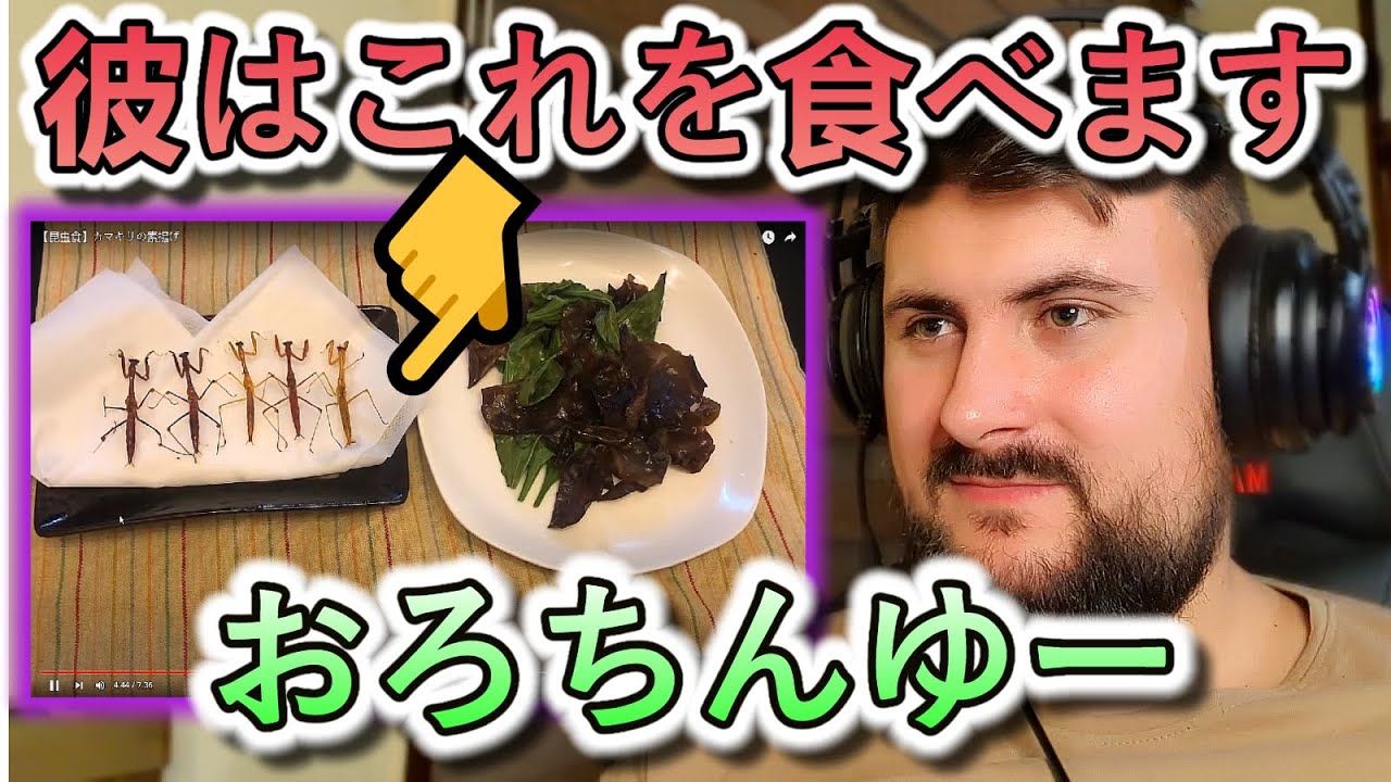 【Damir 海外の反応】おろちんゆー昆虫を食べる？【昆虫食】カマキリの素揚げ