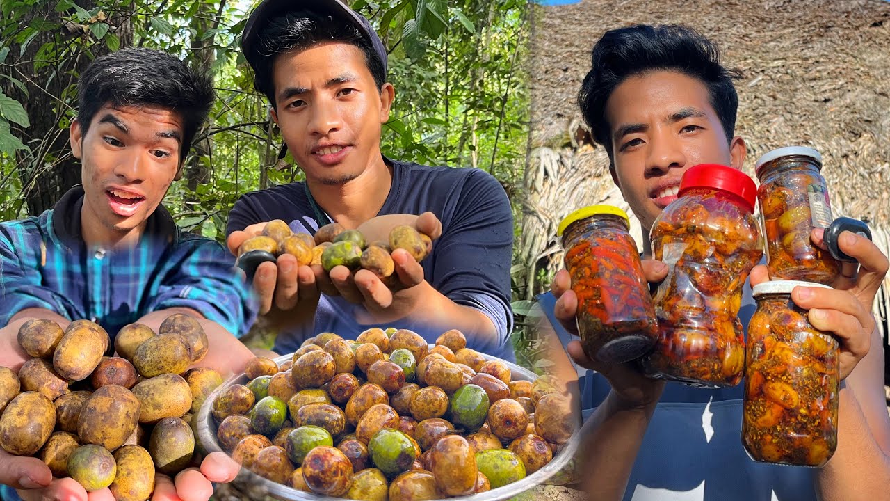 Collecting Wild Fruits to Make Delicious Homemade Pickle.