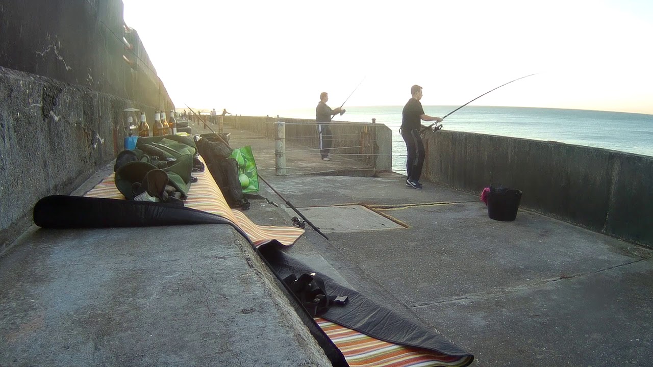 Mackerel & Horse Mackerel Fishing