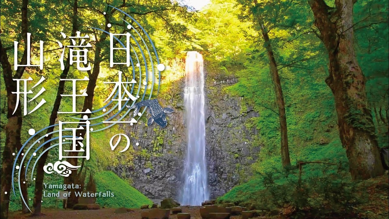 【ドローン空撮】玉簾の滝 Tamasudare-no-Taki（日本一の滝王国山形）