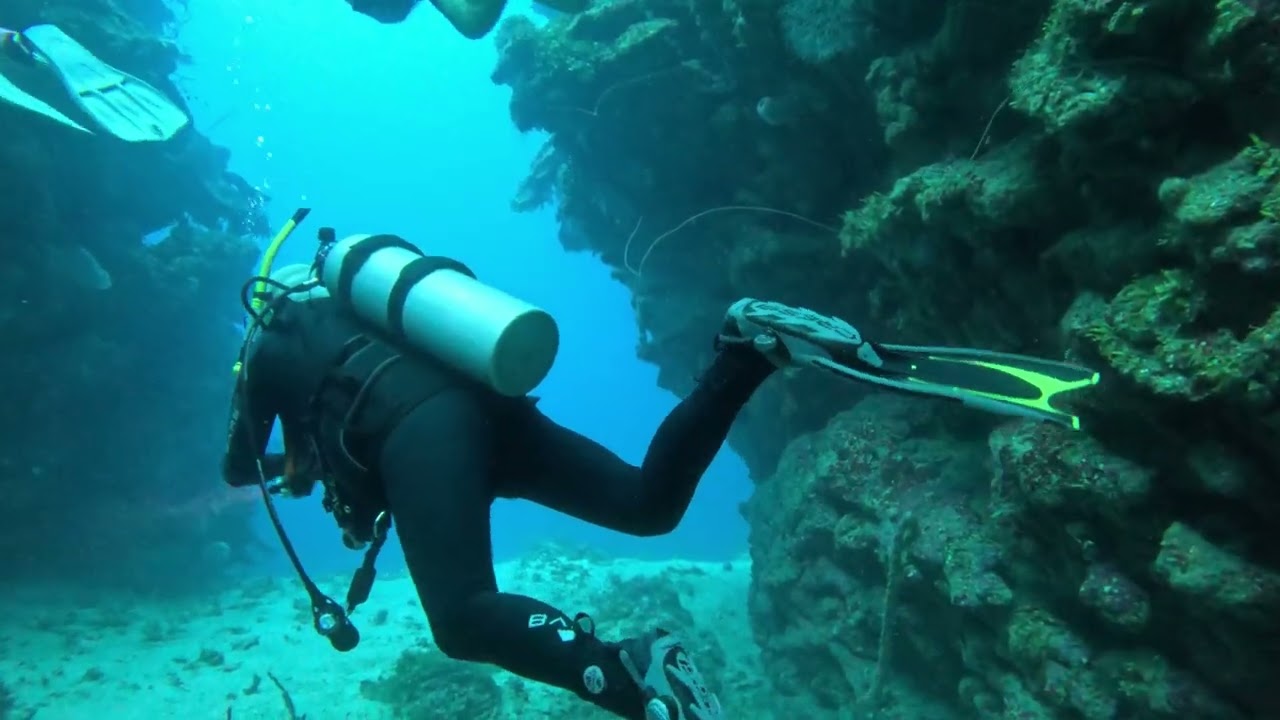 Roatan Mayan divers 2026