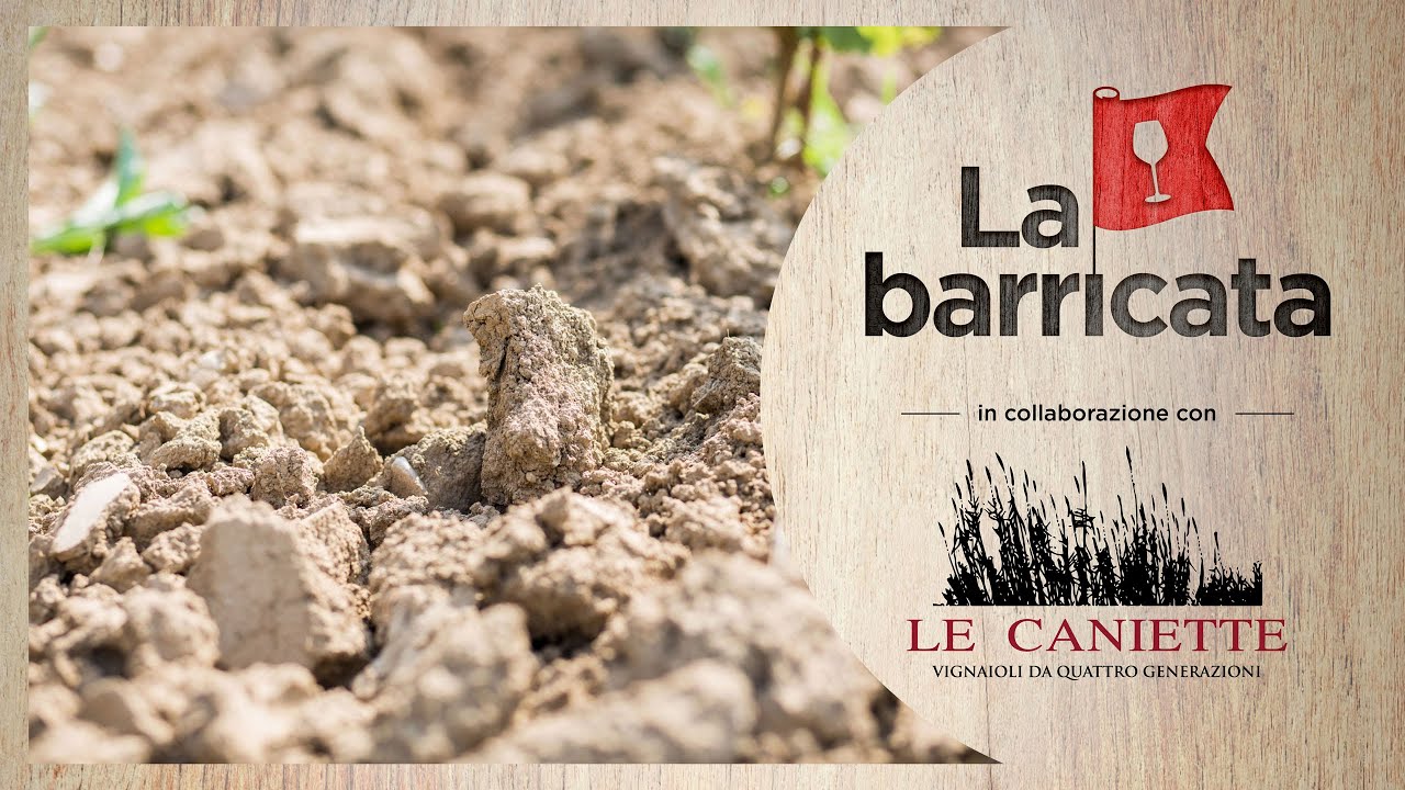 Il senso del terroir e giovani scrittori ispirati dal terroir - La barricata 2