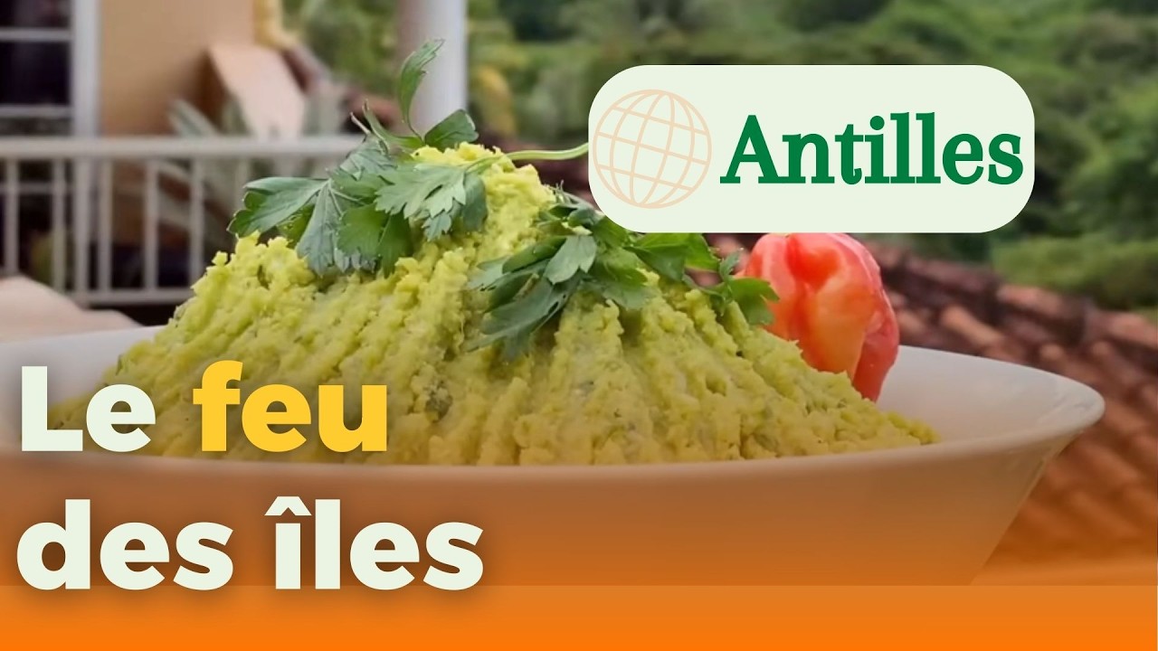 Immersion au cœur des cuisines antillaises