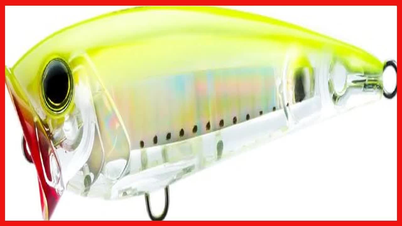 3D Inshore Popper: поверхностная приманка, созданная для ярких всплесков и напряженной борьбы в с...