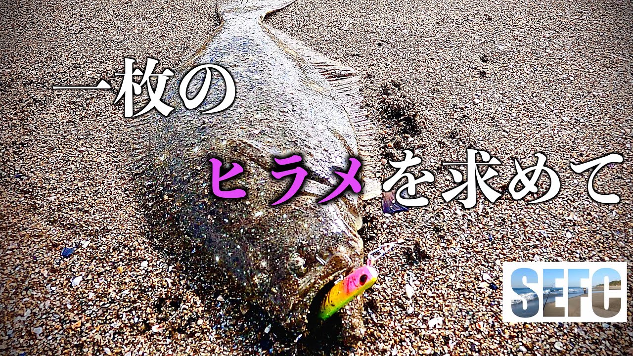 一枚のヒラメを求めて