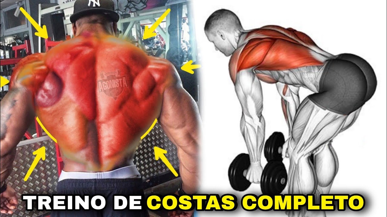 Melhores Exercícios Para Treinar Costas Completo com halteres